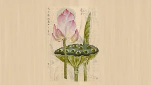 Botanische kunst & waterplantenfestijn