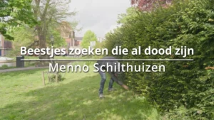 Beestjes zoeken die al dood zijn