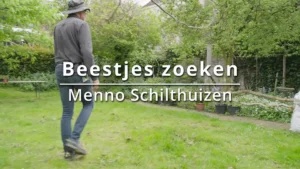 Beestjes zoeken