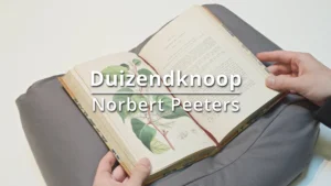 Duizendknoop