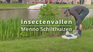 Insectenvallen