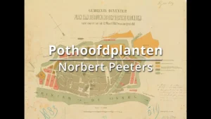 Pothoofdplanten